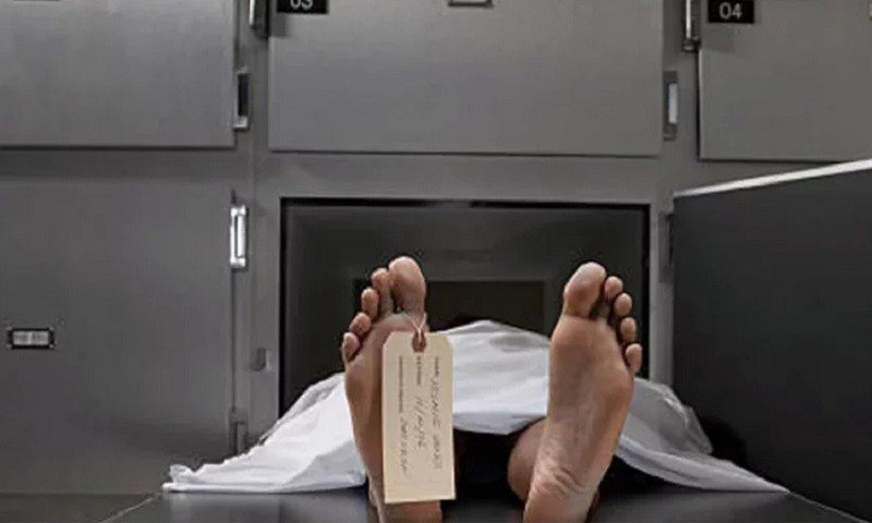 নালিতাবাড়ীতে বিদ্যুৎস্পৃষ্টে প্রাণ গেল অটোচালকের