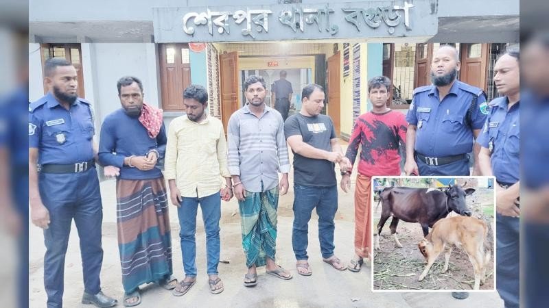 চোর চক্রের ৫ সদস্য গ্রেপ্তার