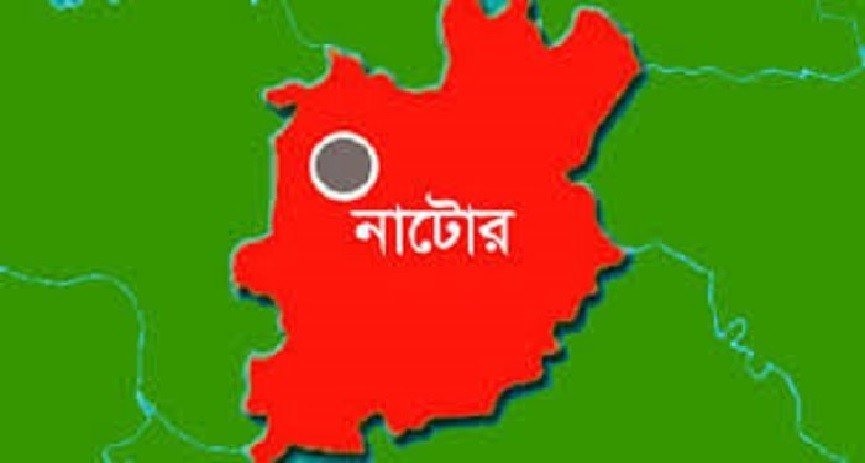 নাটোরে ৫ বছরের শিশুকে ধর্ষণের অভিযোগ, ১৩ বছরের কিশোর আটক
