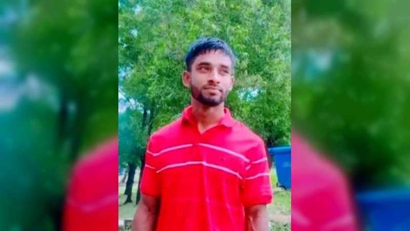 কুমিল্লায় গাছ কাটতে গিয়ে পড়ে যুবক নিহত