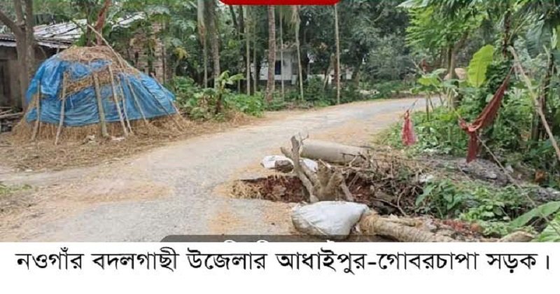 বদলগাছীতে সড়কে ভেঙে পড়েছে কালভার্ট, চলাচল ঝুঁকিপূর্ণ