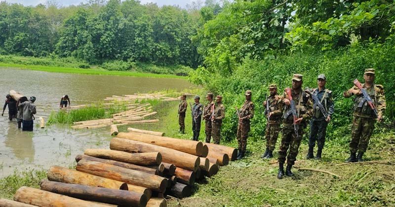 নানিয়ারচর জোনের ১৭ ইবির বিশেষ সেনা অভিযানে কাঠ জব্দ