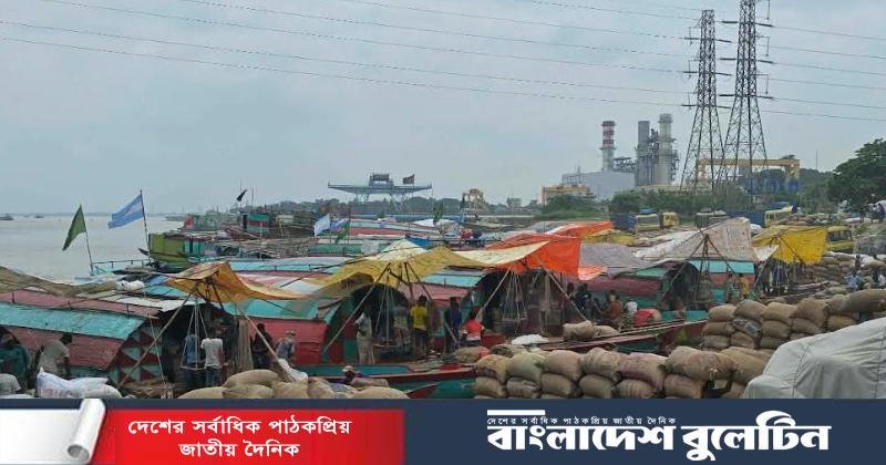 গুজবের প্রভাবে ধানের দাম কমছে, হতাশ ব্রাহ্মণবাড়িয়ার কৃষকরা