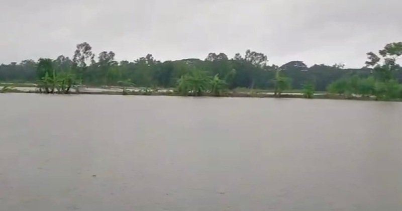 চন্দনাইশে বন‍্যায় কৃষি ও মৎস্য খাতে প্রায় ৮৫ কোটি টাকার ক্ষয়ক্ষতি: কৃষকের কপালে ভাঁজ