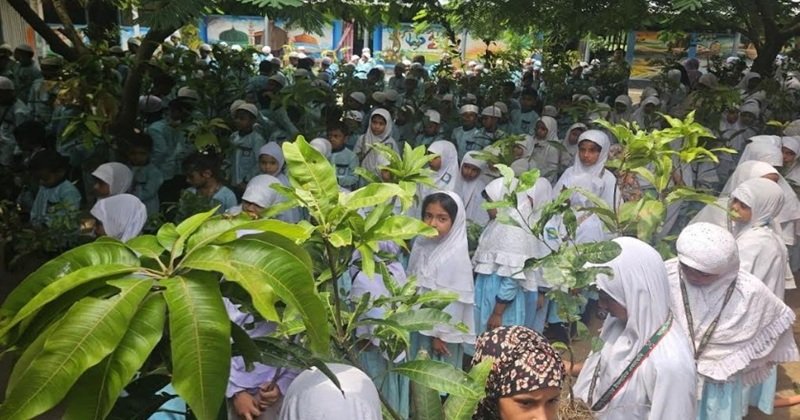 সবুজ বাংলাদেশ গড়তে শিক্ষার্থীদের মাঝে চারা বিতরণ করল আস-সুন্নাহ ফাউন্ডেশন