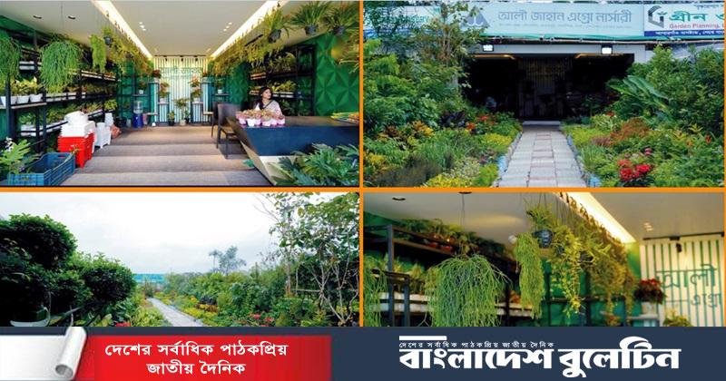 জাতীয় বৃক্ষমেলা-২০২৬ এ দর্শনার্থীদের নজর কেড়েছে আলী-জাহান এগ্রো নার্সারি
