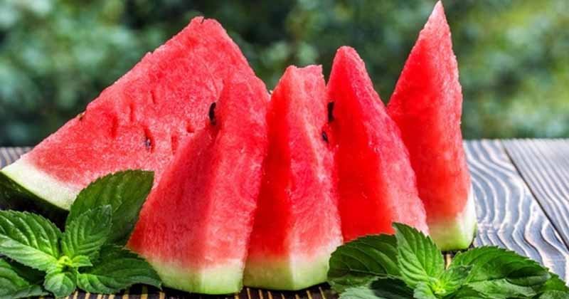 আজ তরমুজ দিবস