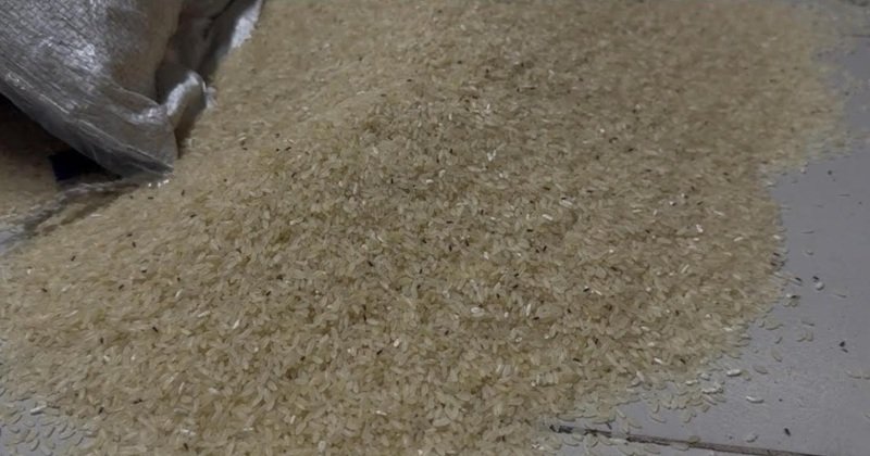 রোগীদের খাবার থেকে ওয়ার্ড-সবখানেই তদারকি, অনিয়মে ক্ষুব্ধ মাদারীপুর-২ আসনের এমপি