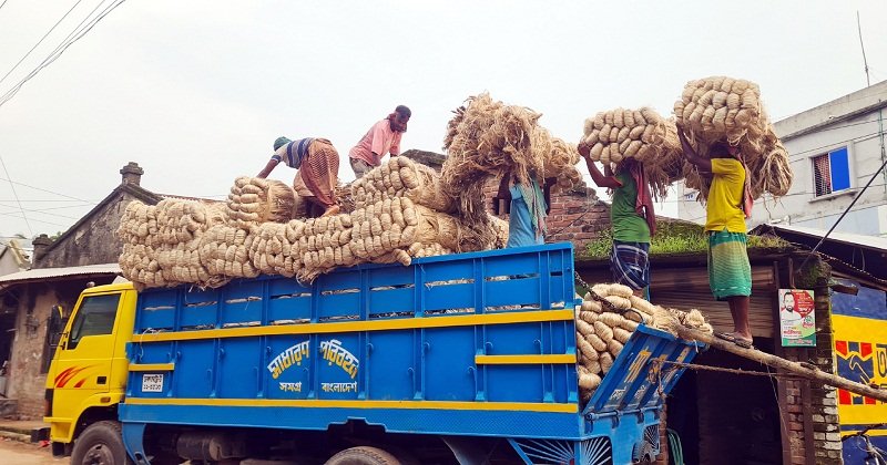 গুরুদাসপুরে পাটের বাম্পার ফলনেও নেই স্বস্তি
