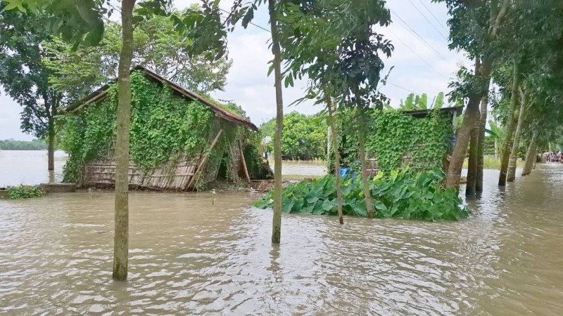 পদ্মার চাপ, মহানন্দা-পুনর্ভবার স্রোত: প্লাবিত পাঁচ ইউনিয়ন