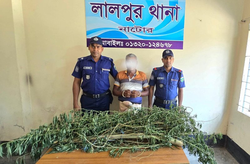 লালপুরে গাঁ*জা গাছসহ একজন আটক