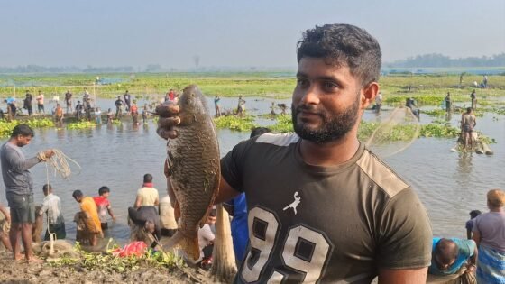 জালে মাছ কম, তবু উৎসবের কমতি নেই