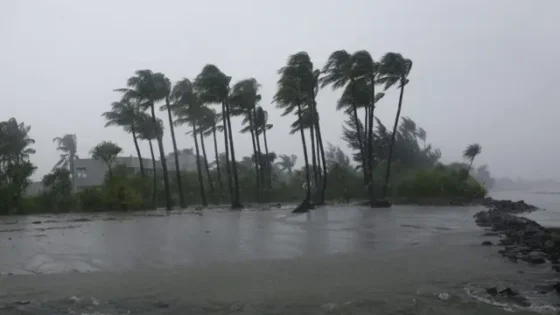 বৃষ্টি-ঘূর্ণিঝড়ের আচরণ বদলে দেওয়াসহ বিশ্ব আবহাওয়ায় যে পাঁচ প্রভাব ফেলেছে এল নিনো
