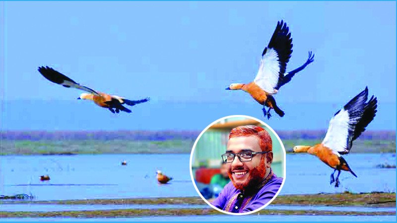 মানুষের লোভে প্রাণ হারায় অতিথি পাখিরা